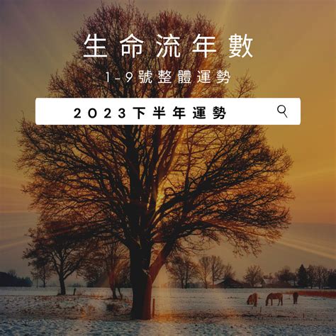 2023生命靈數流年5|2023年生命靈數運勢排行榜–愛情｜財運｜事業｜考試｜健